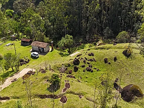 Área Rural de 7,8 Hectares com Pastagem, Reflorestamento e Recursos Hídricos – São Bonifácio/SC