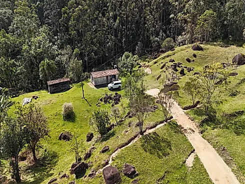 Área Rural de 7,8 Hectares com Pastagem, Reflorestamento e Recursos Hídricos – São Bonifácio/SC - Foto 29