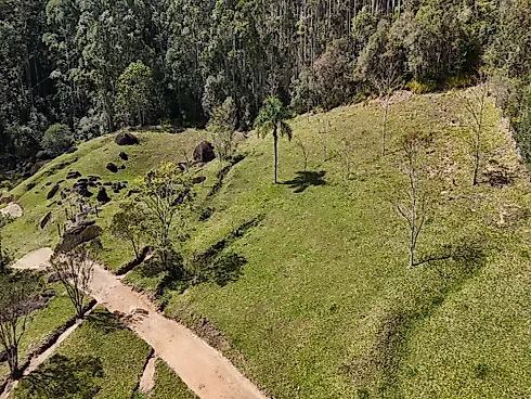 Área Rural de 7,8 Hectares com Pastagem, Reflorestamento e Recursos Hídricos – São Bonifácio/SC - Foto 2
