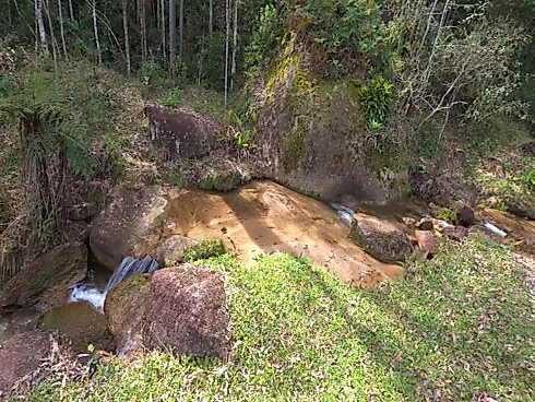 Área Rural de 7,8 Hectares com Pastagem, Reflorestamento e Recursos Hídricos – São Bonifácio/SC - Foto 7