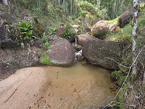Área Rural de 7,8 Hectares com Pastagem, Reflorestamento e Recursos Hídricos – São Bonifácio/SC - Foto 9