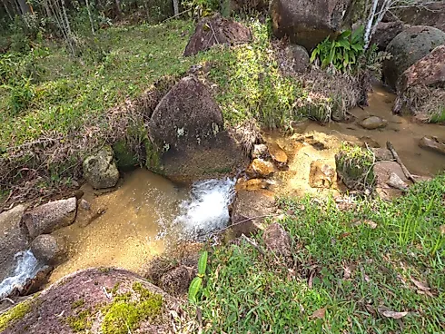 Área Rural de 7,8 Hectares com Pastagem, Reflorestamento e Recursos Hídricos – São Bonifácio/SC - Foto 12