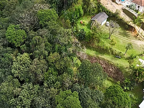 Chácara de 11.000 m² com Nascente, Pomar e Fibra Óptica a 10 km do Contorno Viário - Sítio em São Mateus, Biguaçu - Foto 4