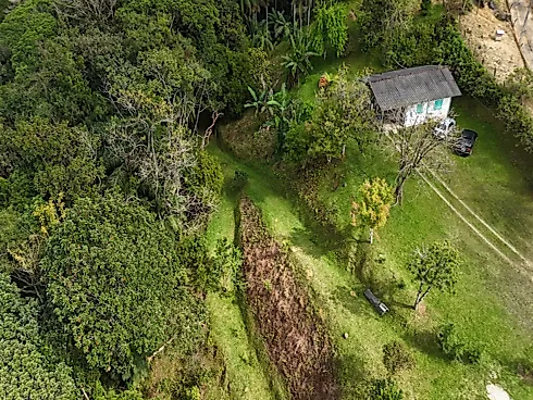 Chácara de 11.000 m² com Nascente, Pomar e Fibra Óptica a 10 km do Contorno Viário - Sítio em São Mateus, Biguaçu - Foto 5