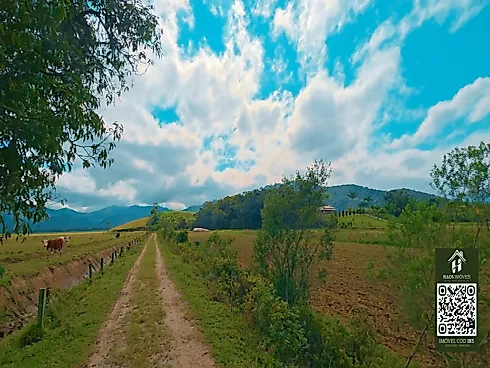 Sítio em Três Riachos Biguaçu, Área Plana! - Foto 19