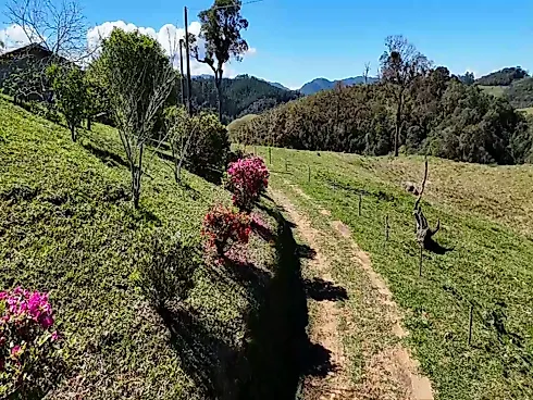 Sítio de 2 Hectares com Cachoeira Privativa, Açude e Estrutura Rural Completa em Anitápolis - Sítio, Anitápolis - Foto 3