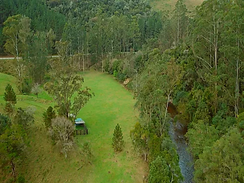 Sítio Espetacular de 5 Hectares em Anitápolis: Localização Privilegiada e Natureza Abundante - Sítio, Anitápolis - Foto 2