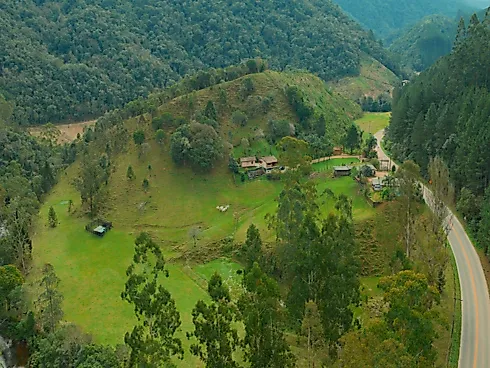Sítio Espetacular de 5 Hectares em Anitápolis: Localização Privilegiada e Natureza Abundante - Sítio, Anitápolis - Foto 3