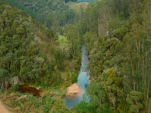 Sítio Espetacular de 5 Hectares em Anitápolis: Localização Privilegiada e Natureza Abundante - Sítio, Anitápolis - Foto 4