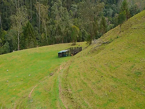 Sítio Espetacular de 5 Hectares em Anitápolis: Localização Privilegiada e Natureza Abundante - Sítio, Anitápolis - Foto 5