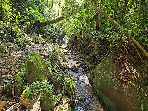 Refúgio Exclusivo com Cachoeira Privativa e Muita Natureza em Águas Mornas – 2 Hectares - Foto 10