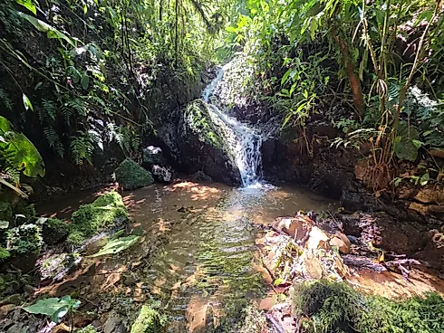 Refúgio Exclusivo com Cachoeira Privativa e Muita Natureza em Águas Mornas – 2 Hectares - Foto 13