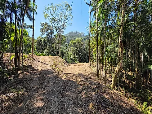 Refúgio Exclusivo com Cachoeira Privativa e Muita Natureza em Águas Mornas – 2 Hectares - Foto 7