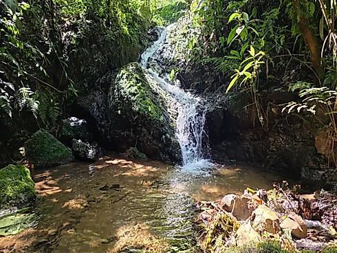 Refúgio Exclusivo com Cachoeira Privativa e Muita Natureza em Águas Mornas – 2 Hectares