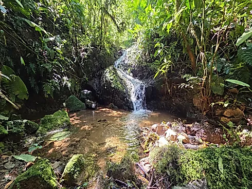 Refúgio Exclusivo com Cachoeira Privativa e Muita Natureza em Águas Mornas – 2 Hectares - Foto 8