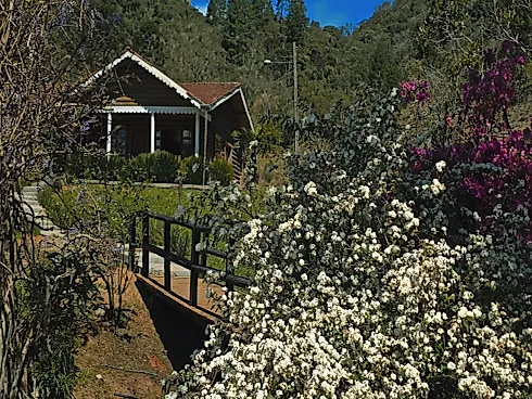 Sítio dos Sonhos em Rancho Queimado - SC, Rico em Água! - Foto 16