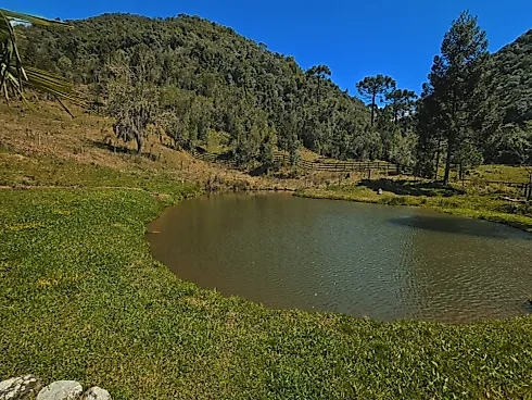 Sítio dos Sonhos em Rancho Queimado - SC, Rico em Água! - Foto 22