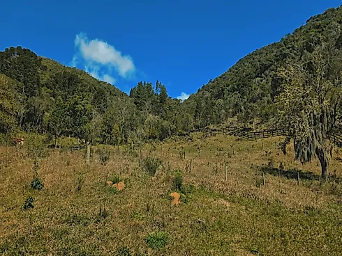 Sítio dos Sonhos em Rancho Queimado - SC, Rico em Água! - Foto 24