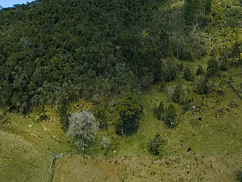 Sítio dos Sonhos em Rancho Queimado - SC, Rico em Água! - Foto 37