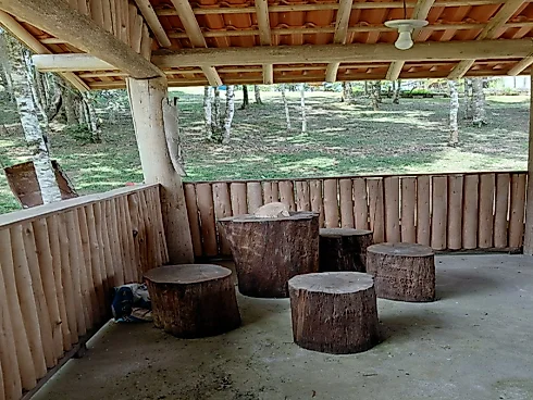 Sítio em Barro Branco, São Pedro de Alcântara