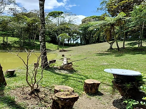 Sítio em Barro Branco, São Pedro de Alcântara