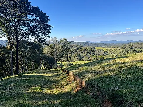 Chácara Exclusiva de 1 Hectare (10.000 M²) em Pinheiral – Rancho Queimado/SC - Foto 3