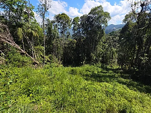 Vista Espetacular em Aguas Mornas - Foto 4