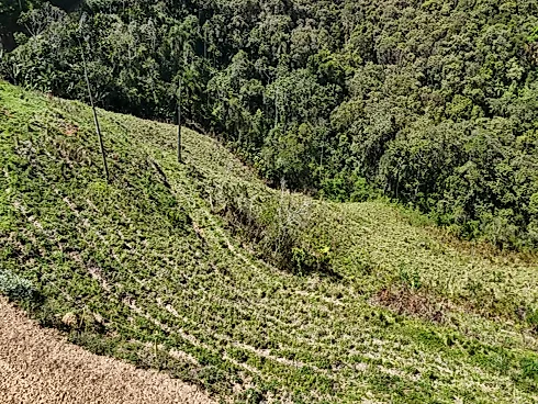 Sua Tela em Branco com Vista Panorâmica em Rio Imbira – Águas Mornas/SC - Foto 16