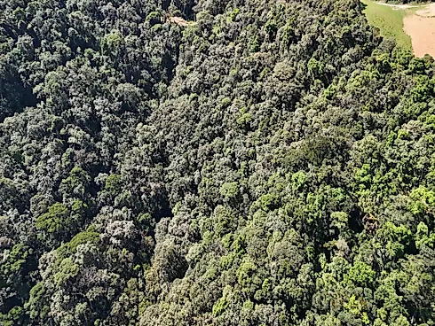 Sua Tela em Branco com Vista Panorâmica em Rio Imbira – Águas Mornas/SC - Foto 4