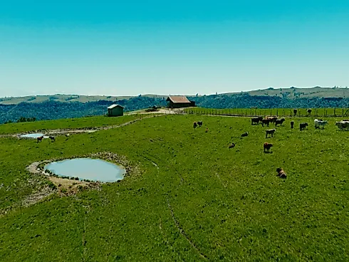 Fazenda de 200 Hectares em Leoberto Leal – Pronta para Pecuária e Produção - Foto 3