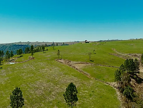 Fazenda de 200 Hectares em Leoberto Leal – Pronta para Pecuária e Produção - Foto 2