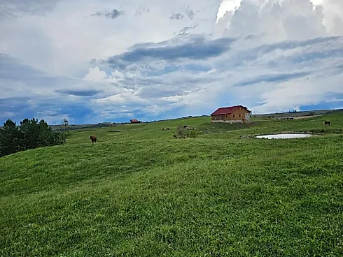 Fazenda de 200 Hectares em Leoberto Leal – Pronta para Pecuária e Produção - Foto 5