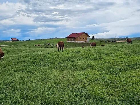 Fazenda de 200 Hectares em Leoberto Leal – Pronta para Pecuária e Produção - Foto 13