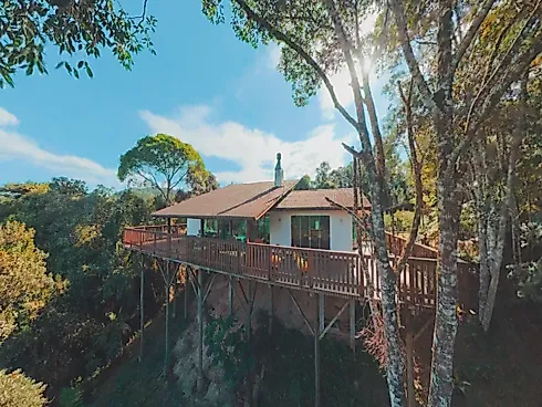Sítio de 8 Hectares com Vista para a Serra do Tabuleiro em Águas Mornas - Foto 2