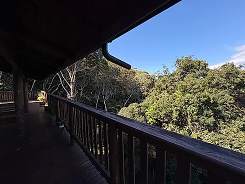 Sítio de 8 Hectares com Vista para a Serra do Tabuleiro em Águas Mornas - Foto 4