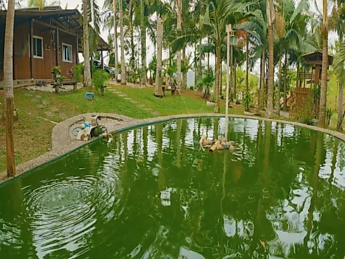 Pagará, Santo Amaro da Imperatriz