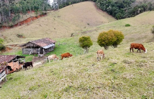 Sítio em Rio do Poncho, São Bonifácio