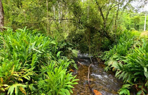 Sítio em Rio do Salto, Águas Mornas