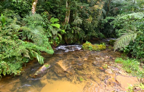Sítio em Rio do Salto, Águas Mornas
