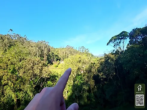 Thumbnail 35