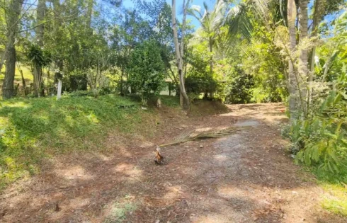 Sítio em Rio Novo, Águas Mornas