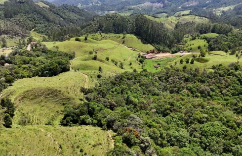 Sítio em Povoamento, Anitápolis