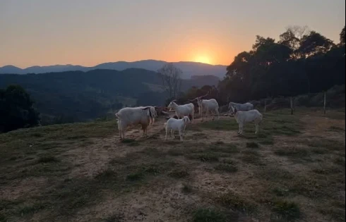 Sítio em Barra Gaspar, Anitapolis