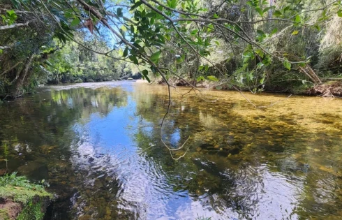 Sítio em Vargem do Braço, Santo Amaro da Imperatriz