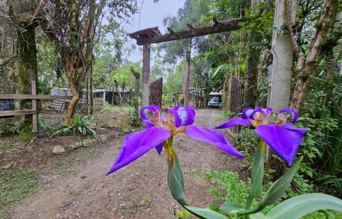 Sítio em Vargem do Braço, Santo Amaro da Imperatriz