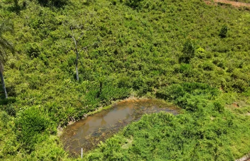 Terreno em Varginha, Santo Amaro da Imperatriz
