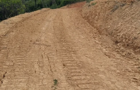 Thumbnail 19