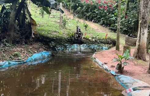 Sítio em Pagará Grande, São Pedro de Alcântara