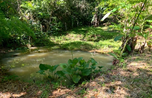 Sítio em Pagará, Santo Amaro da Imperatriz
