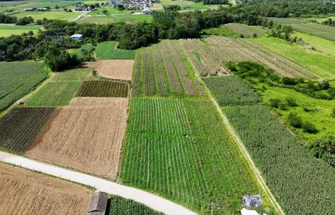 Terreno em Sul do Rio, Santo Amaro da Imperatriz